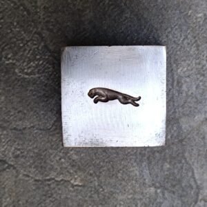 Jaguar Steel Metal Die: 20mm Stamping, Forming, Punching
